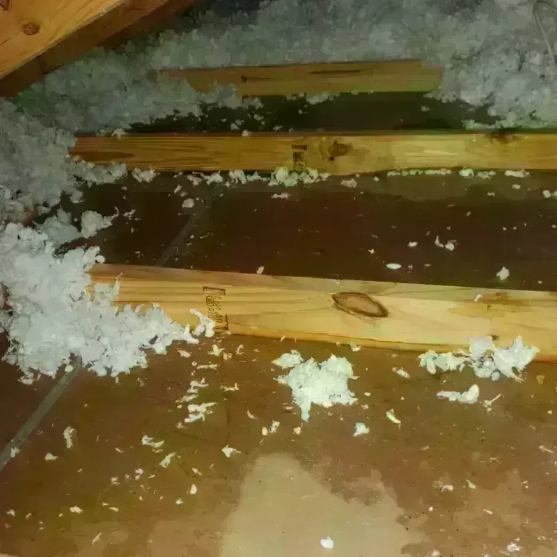 Attic Water Damage in Washington County, OK