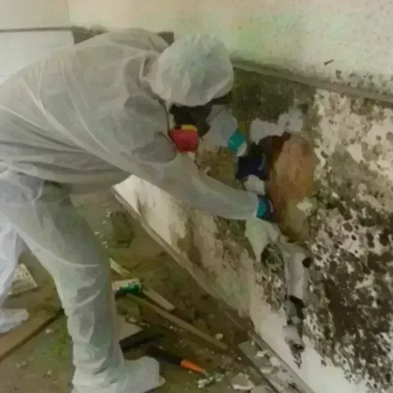 Mold Remediation and Removal in Washington County, OK