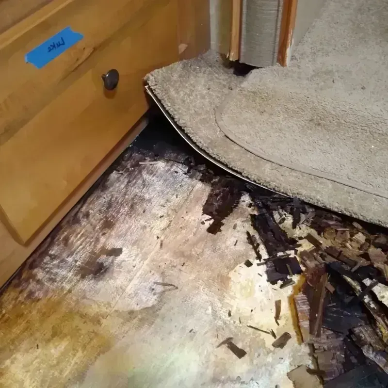 Wood Floor Water Damage in Washington County, OK